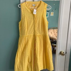 NWT J. Crew Factory Dress